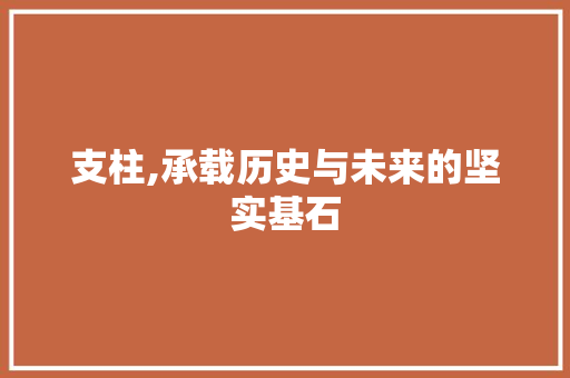 支柱,承载历史与未来的坚实基石