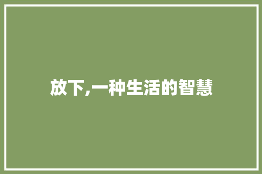 放下,一种生活的智慧