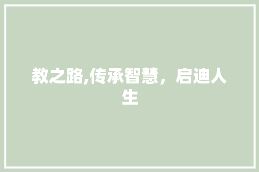 教之路,传承智慧，启迪人生