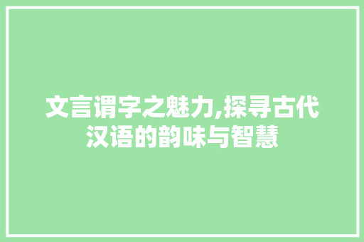 文言谓字之魅力,探寻古代汉语的韵味与智慧