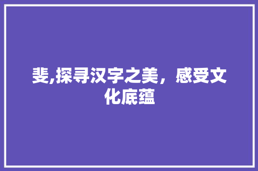 斐,探寻汉字之美，感受文化底蕴