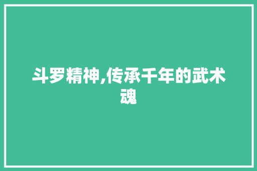 斗罗精神,传承千年的武术魂