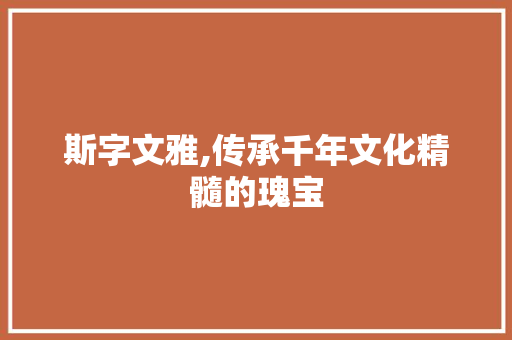 斯字文雅,传承千年文化精髓的瑰宝