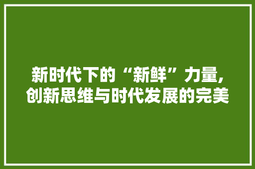 新时代下的“新鲜”力量,创新思维与时代发展的完美融合