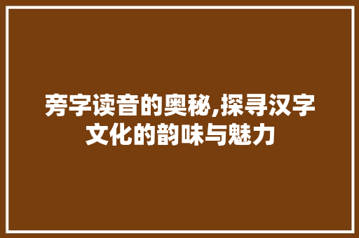旁字读音的奥秘,探寻汉字文化的韵味与魅力