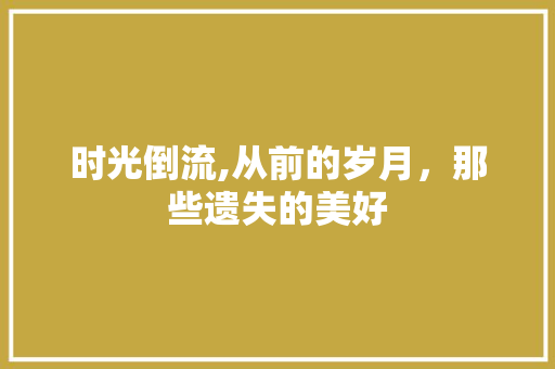 时光倒流,从前的岁月，那些遗失的美好