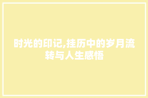 时光的印记,挂历中的岁月流转与人生感悟