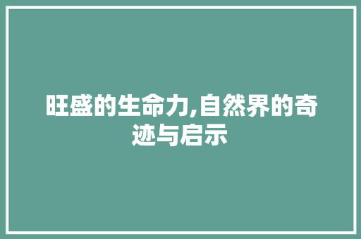旺盛的生命力,自然界的奇迹与启示