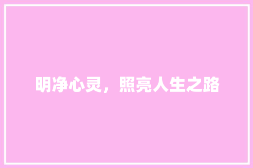 明净心灵，照亮人生之路