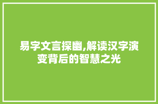 易字文言探幽,解读汉字演变背后的智慧之光