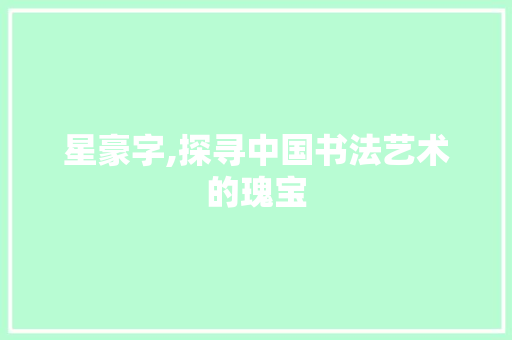星豪字,探寻中国书法艺术的瑰宝