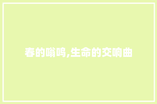 春的嗡鸣,生命的交响曲