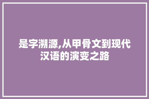 是字溯源,从甲骨文到现代汉语的演变之路