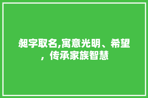 昶字取名,寓意光明、希望，传承家族智慧