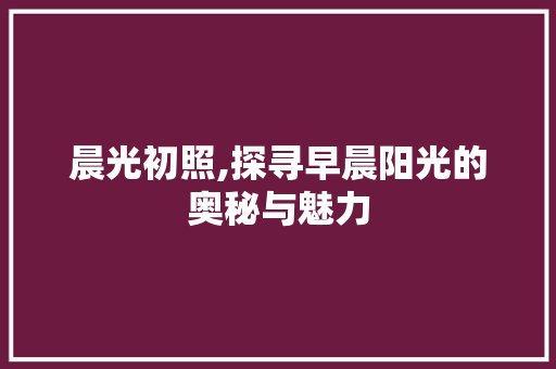 晨光初照,探寻早晨阳光的奥秘与魅力