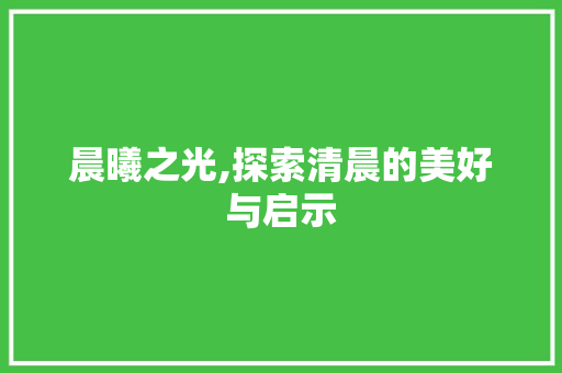 晨曦之光,探索清晨的美好与启示