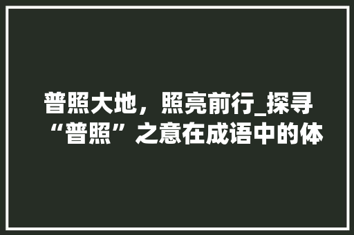 普照大地，照亮前行_探寻“普照”之意在成语中的体现
