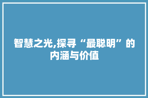 智慧之光,探寻“最聪明”的内涵与价值