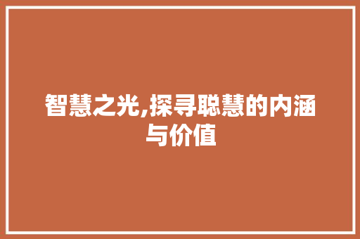 智慧之光,探寻聪慧的内涵与价值