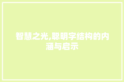 智慧之光,聪明字结构的内涵与启示