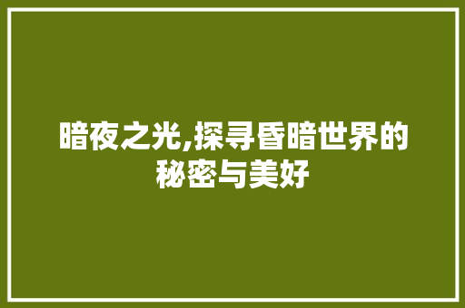 暗夜之光,探寻昏暗世界的秘密与美好