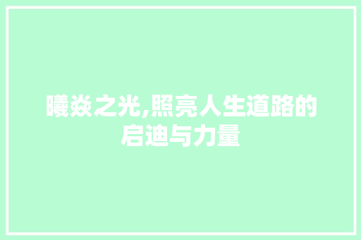 曦焱之光,照亮人生道路的启迪与力量