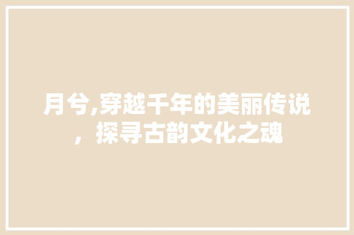 月兮,穿越千年的美丽传说，探寻古韵文化之魂