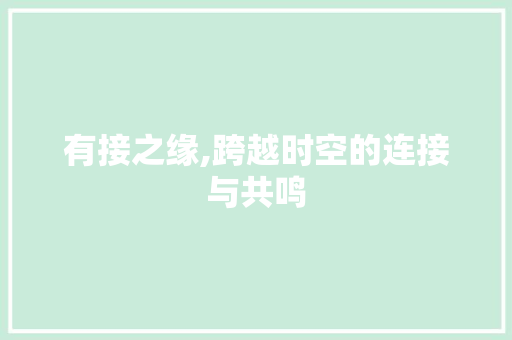 有接之缘,跨越时空的连接与共鸣