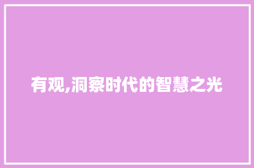 有观,洞察时代的智慧之光