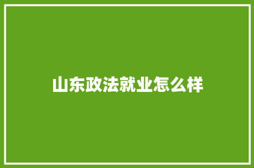 山东政法就业怎么样