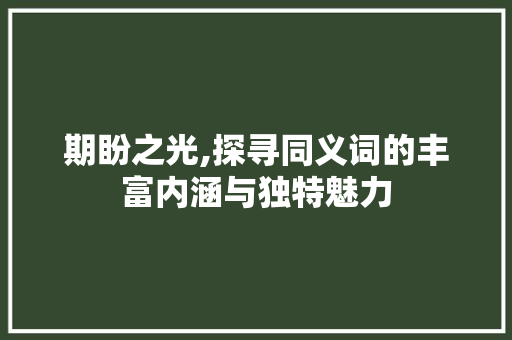 期盼之光,探寻同义词的丰富内涵与独特魅力