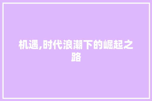 机遇,时代浪潮下的崛起之路