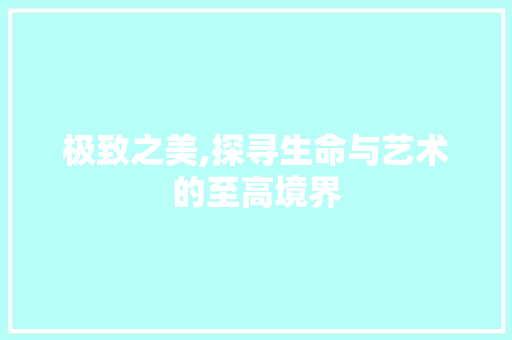 极致之美,探寻生命与艺术的至高境界