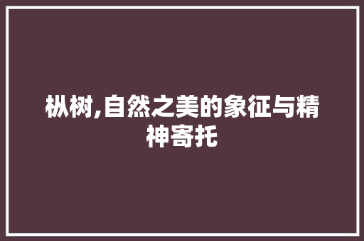 枞树,自然之美的象征与精神寄托
