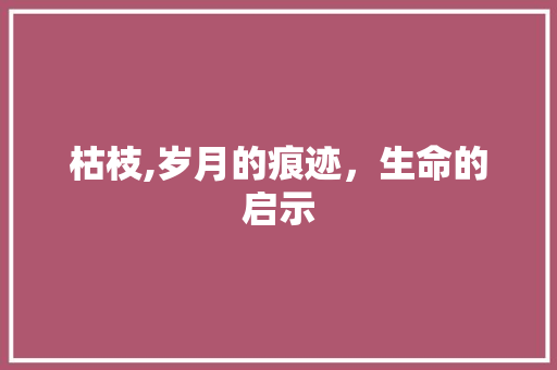 枯枝,岁月的痕迹，生命的启示