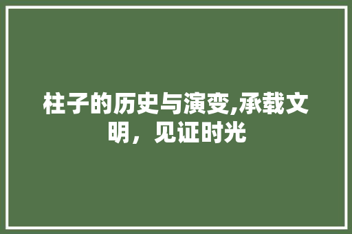 柱子的历史与演变,承载文明，见证时光
