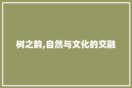 树之韵,自然与文化的交融