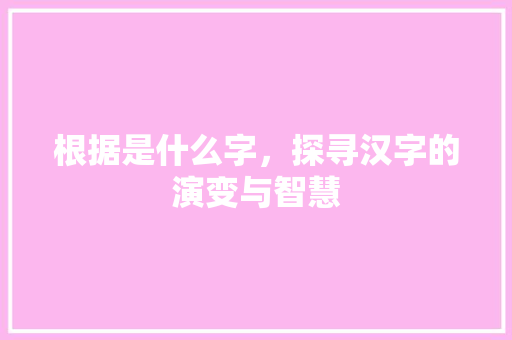 根据是什么字，探寻汉字的演变与智慧