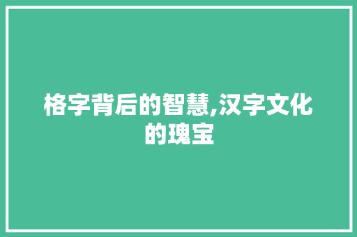 格字背后的智慧,汉字文化的瑰宝