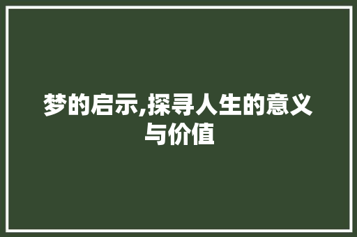 梦的启示,探寻人生的意义与价值