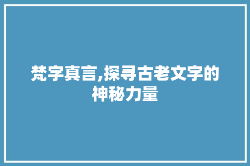 梵字真言,探寻古老文字的神秘力量