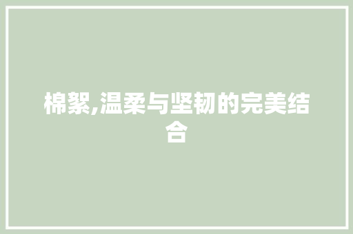 棉絮,温柔与坚韧的完美结合