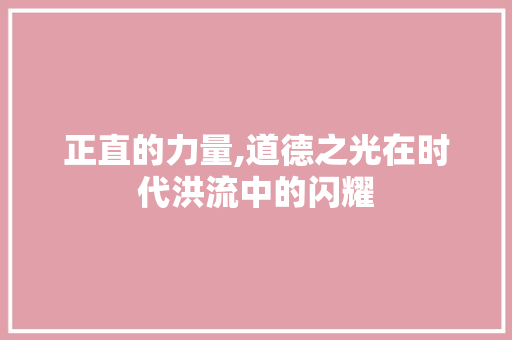 正直的力量,道德之光在时代洪流中的闪耀
