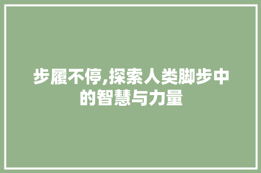 步履不停,探索人类脚步中的智慧与力量