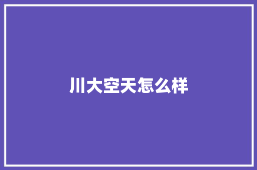 川大空天怎么样