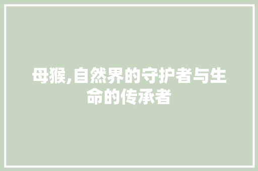 母猴,自然界的守护者与生命的传承者