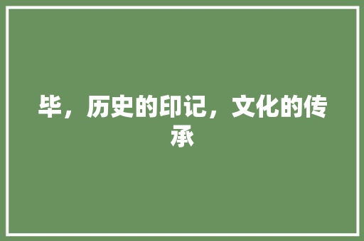 毕，历史的印记，文化的传承