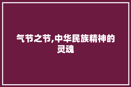 气节之节,中华民族精神的灵魂