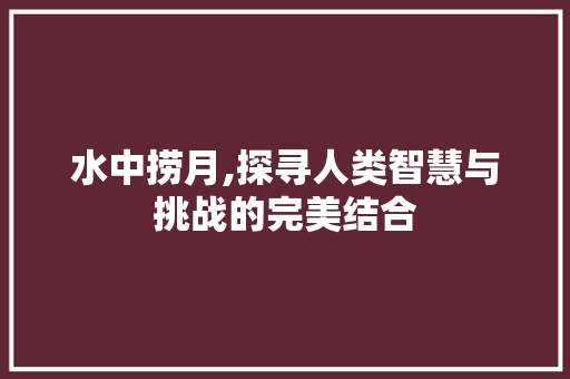 水中捞月,探寻人类智慧与挑战的完美结合