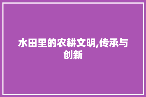 水田里的农耕文明,传承与创新